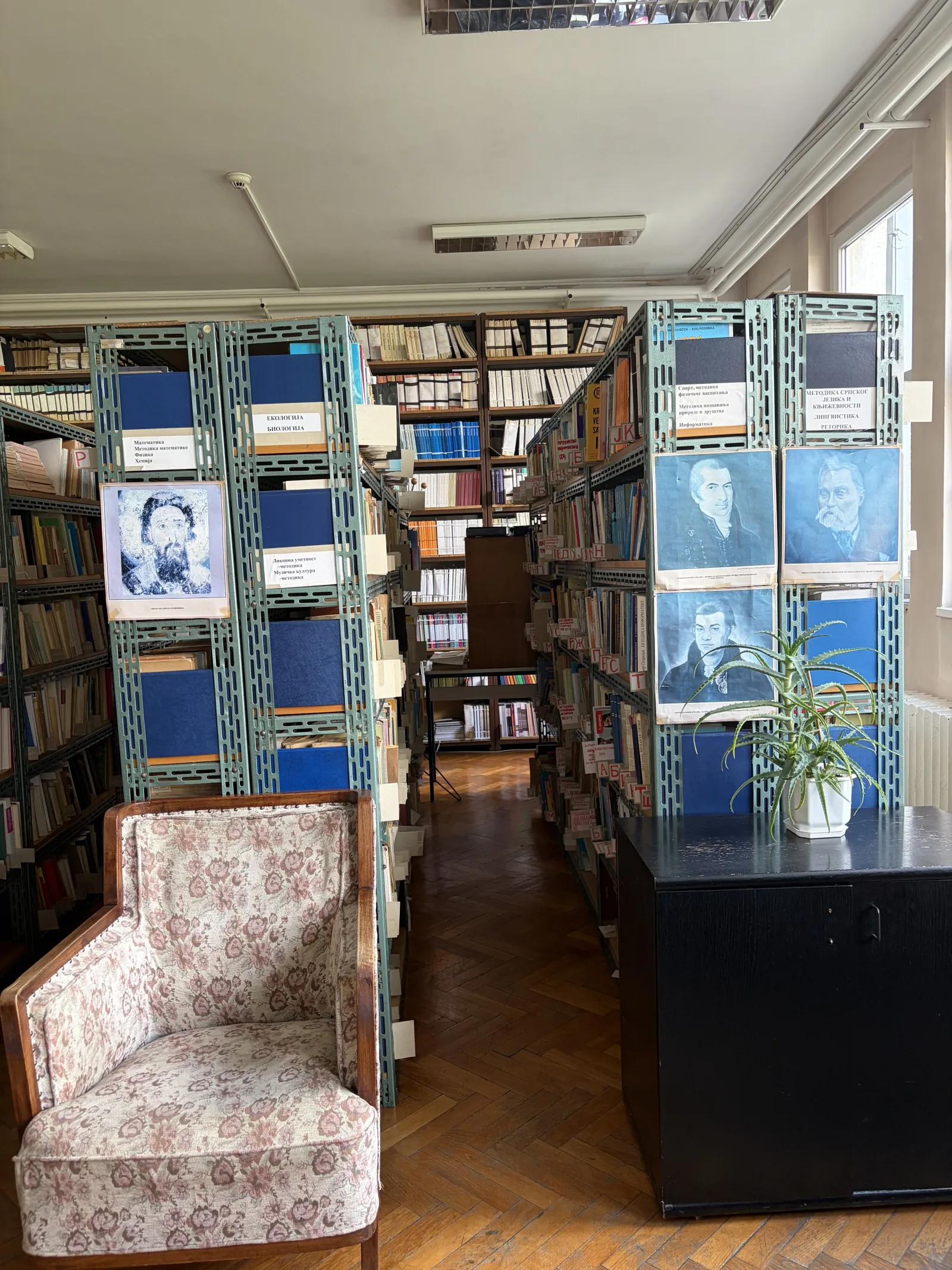 Библиотека данас