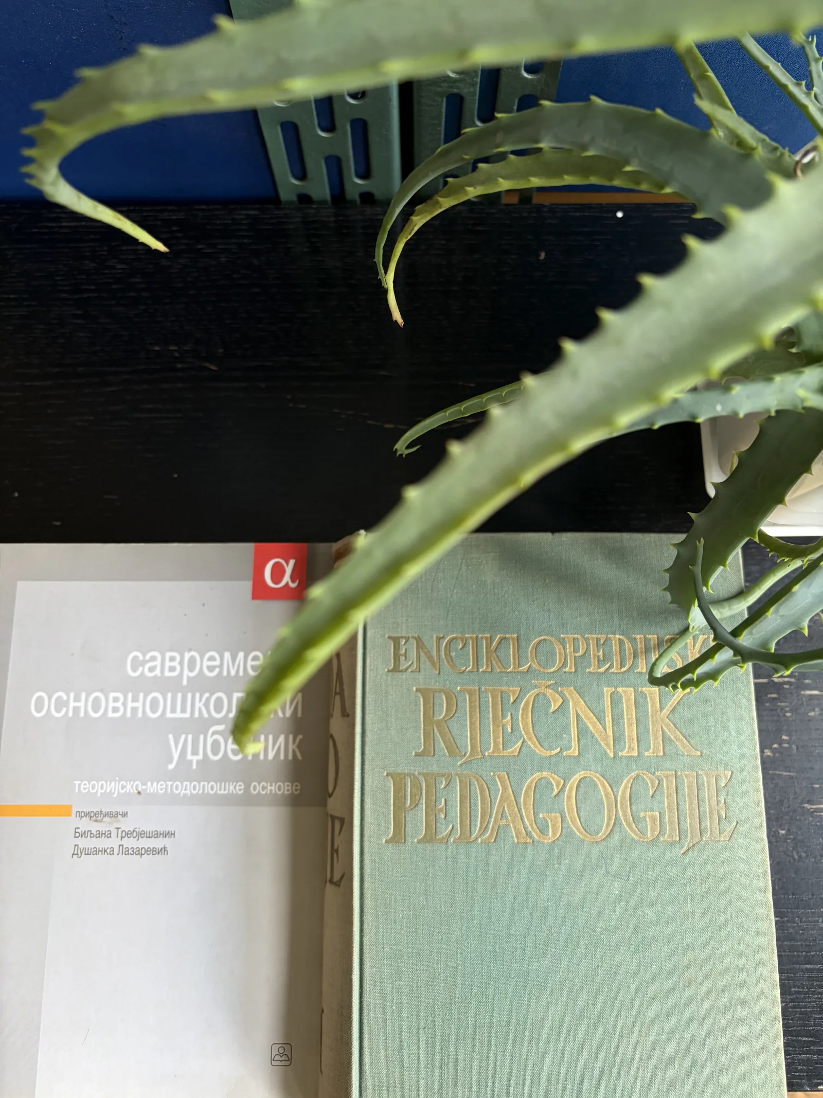 Библиотека данас