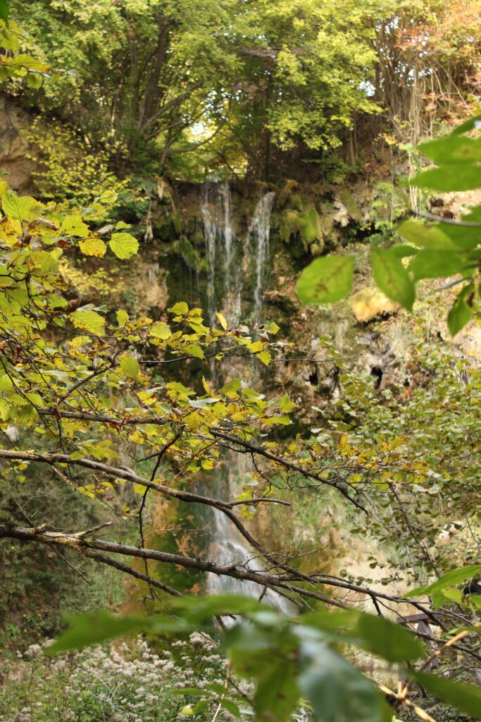 Поглед на водопад кроз јесење гране
